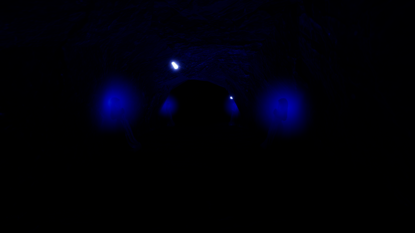 ---- Entrance